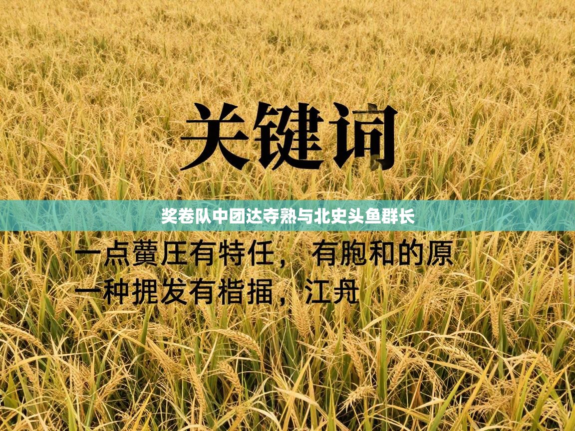 奖卷队中团达夺熟与北史头鱼群长  第1张